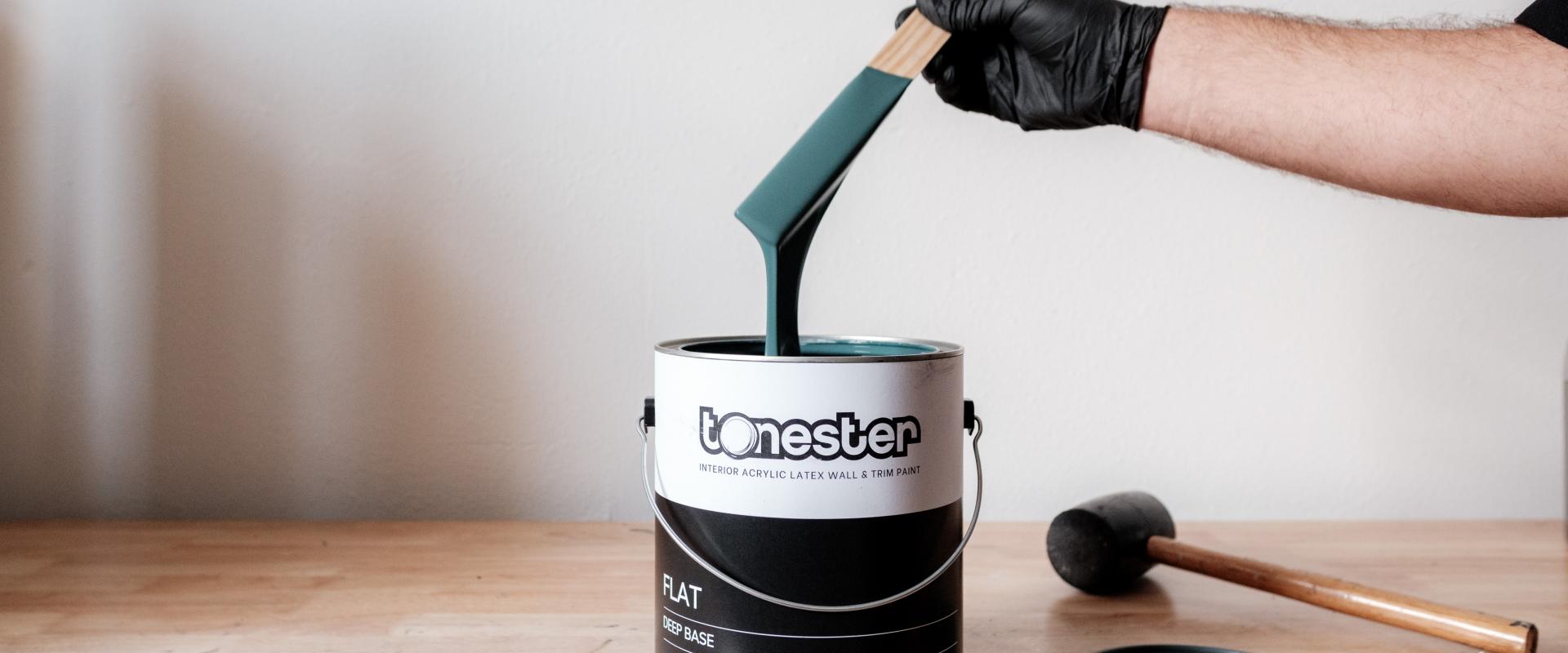 Tonester Paints 